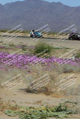 media/Feb-04-2023-SoCal Trackdays (Sat) [[8a776bf2c3]]/Turn 15 Inside Blooming (1050am)/